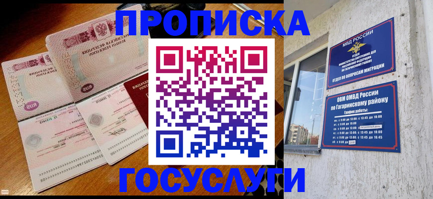 где прописаться в Тимашёвске